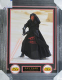 Star Wars: Episode 1 - The Phantom Menace "Darth Maul" Ray Park Hand Signed Autographed 16x20 Photo Framed with Matting Includes PSA COA