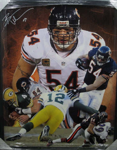 Chicago Bears Brian Urlacher Hand Signed Autographed Large Canvas Framed & Includes JSA COA